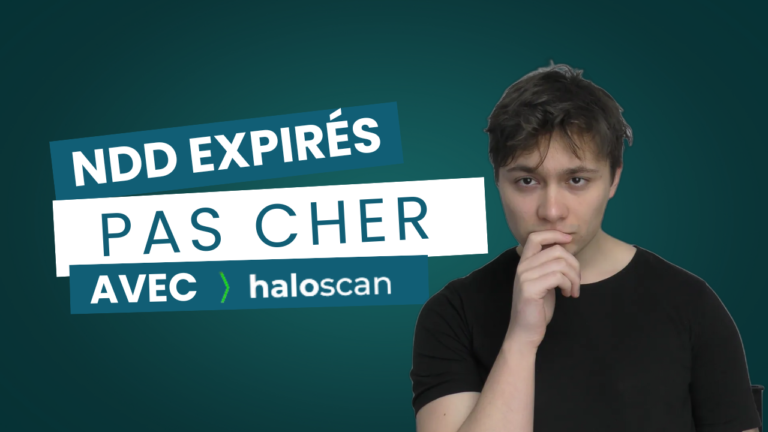 Comment trouver des noms de domaines expirés avec Haloscan ? Mon process